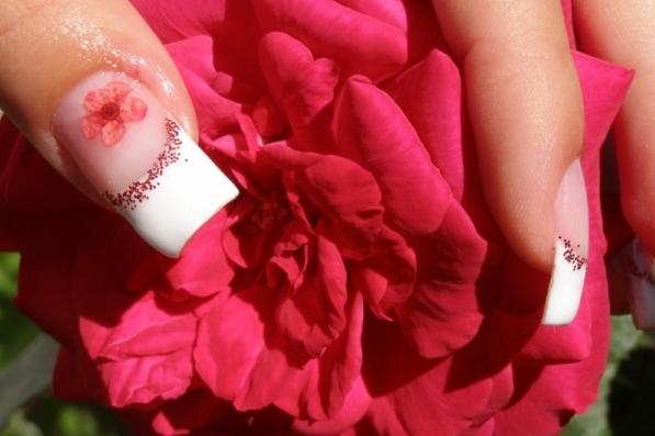 ***��Mimy K�r�mst�di�ja��***